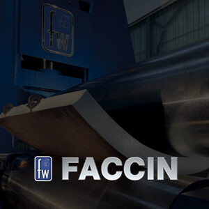 Faccin